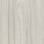 Driftwood 